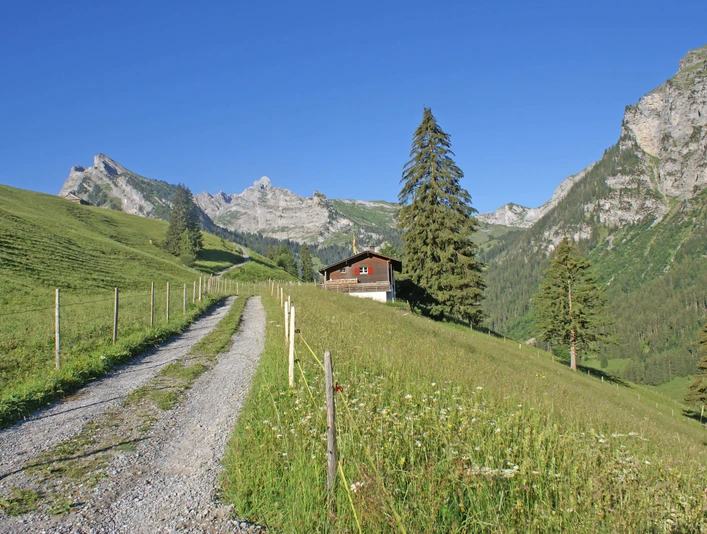 Vue extérieure en été
