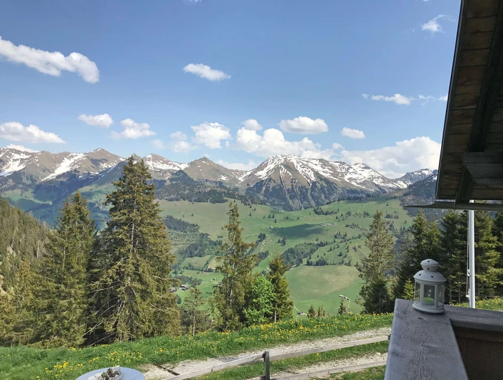 View alpine hut Brüschtmoos