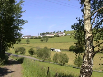 Ferienhof Zimmermann Landschaft mit einem schmalen Weg, grünen Wiesen und entfernten Hügelhäusern unter blauem Himmel.