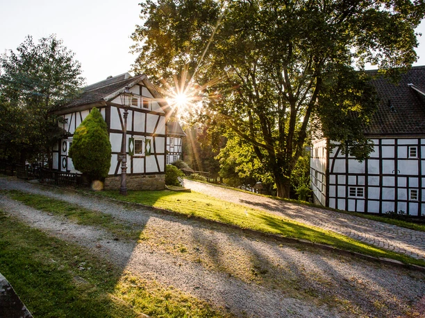 historisches Backhaus Fachwerkhäuser mit Sonnenstrahlen durch Bäume, ländliche Umgebung bei Sonnenuntergang.