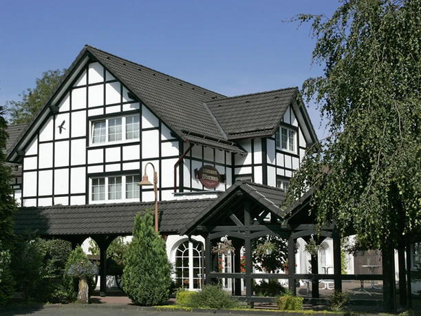 Außenansicht Fachwerkhaus mit schwarzem Holzrahmen, dekorativen Fenstern und grünem Garten unter blauem Himmel.