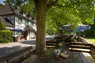 Biergarten - Terrasse Fachwerkhaus mit grünen Fensterläden, davor Biergarten mit Holzbänken und großen Sonnenschirmen.