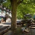 Biergarten - Terrasse Fachwerkhaus mit grünen Fensterläden, davor Biergarten mit Holzbänken und großen Sonnenschirmen.