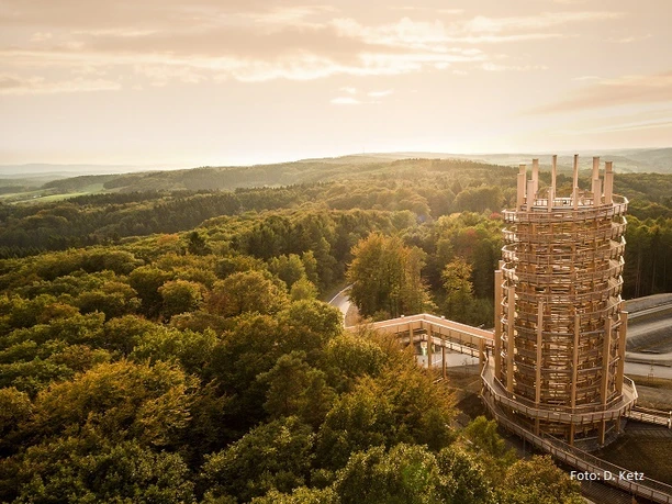 Aussichtsturm mit Baumwipfelpfad Holzturm im Wald vor hügeliger Landschaft bei Sonnenuntergang, sanfte Lichtstimmung im Hintergrund.