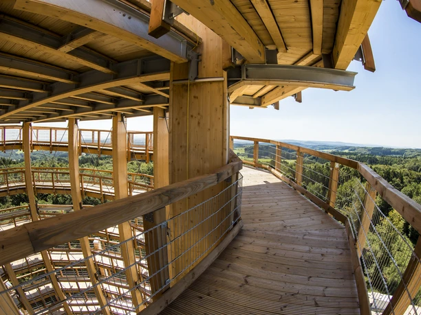 Baumwipfelpfad Panarbora Baumwipfelpfad mit Holzweg über Waldlandschaft unter blauem Himmel in sanfter Hanglage.