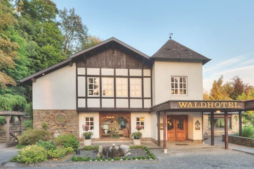 Waldhotel Mangold Traditionelles Fachwerkhotel in idyllischer Umgebung, umgeben von grünen Bäumen und Natur.