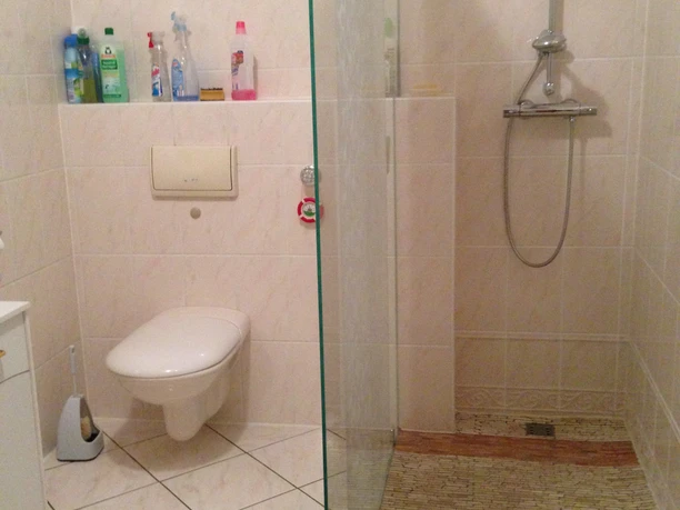 Vila Chopin Barrierefreie, helle Badezimmer mit begehbarer Dusche, Duschkopf, WC und Reinigungsutensilien.