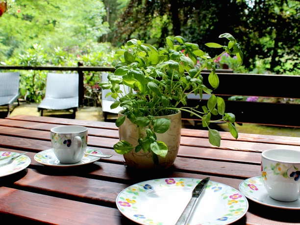 Ein gedeckter Tisch im Waldhaus Bellen Ein gedeckter Tisch im Waldhaus Bellen