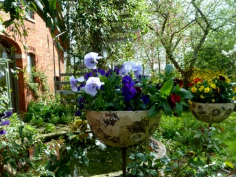 Gästehaus Alte Schule in Buchholz Gästehaus Alte Schule in Buchholz