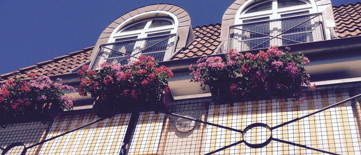 Parkhotel Flora in Bad Grund - Markise