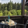 relexa hotel Harz-Wald - Braunlage - Aussicht vom Balkon