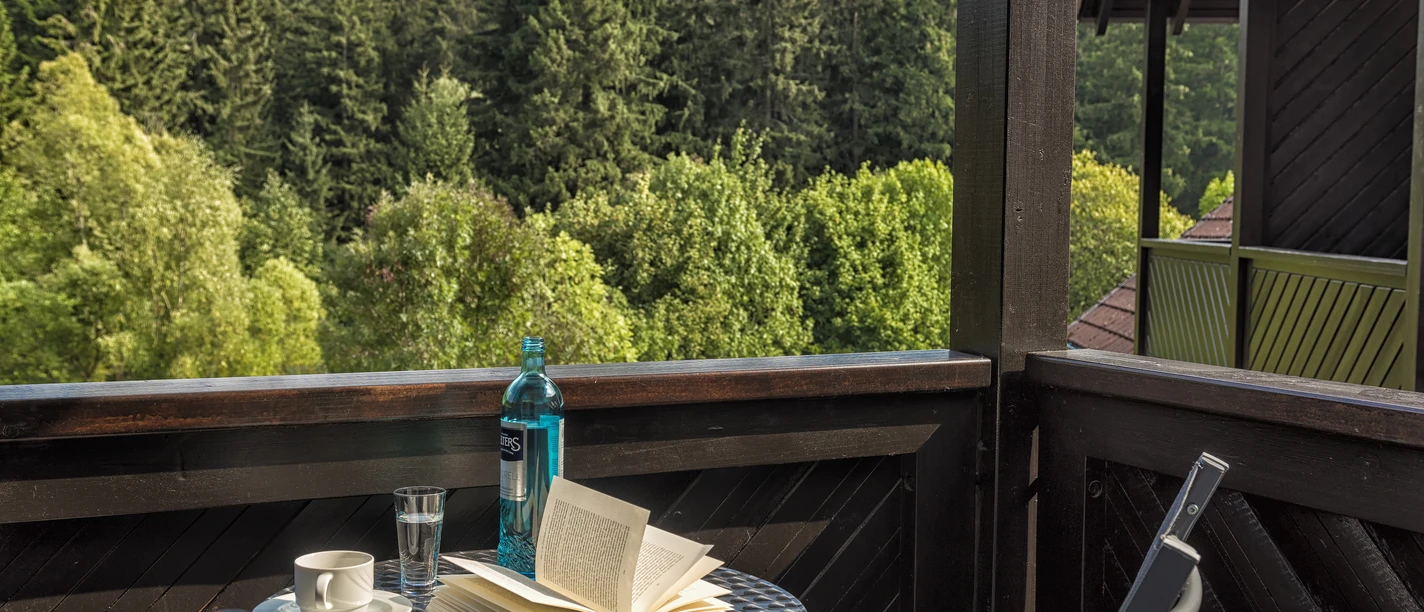 relexa hotel Harz-Wald - Braunlage - Aussicht vom Balkon