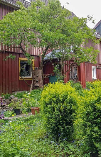 Ferienwohnung Trollblume und Schlüsselblume in Hohegeiß
