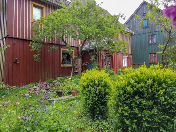 Ferienwohnung Trollblume und Schlüsselblume in Hohegeiß