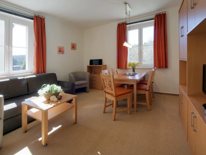 Ferienwohnungen an der Bode in Schierke - FW Große Bode - Wohnzimmer