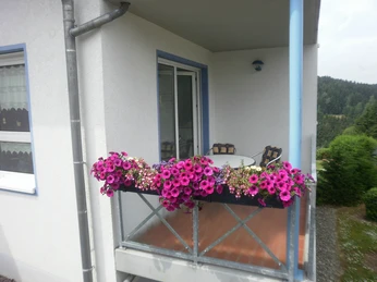 Haus Dreitälerblick in Altenau - Balkon Haus Dreitälerblick in Altenau - Balkon