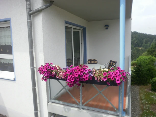 Haus Dreitälerblick in Altenau - Balkon Haus Dreitälerblick in Altenau - Balkon