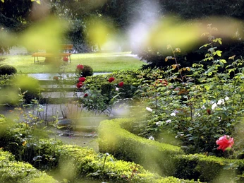Evangelisches Zentrum Kloster Drübeck - Parkanlage