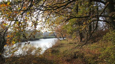 The Oste River in Ober Ochtenhausen - Oste Vacation Farm