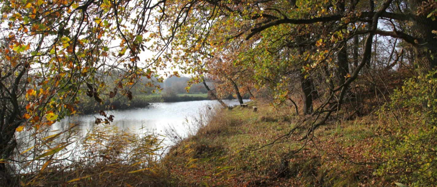 The Oste River in Ober Ochtenhausen - Oste Vacation Farm