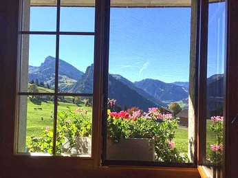 Aussicht aus dem Fenster