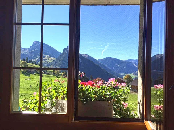 Aussicht aus dem Fenster