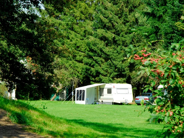 Der Campingplatz befindet sich auf einer Obstwiese umgeben von alten Eichen