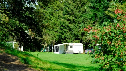 Der Campingplatz befindet sich auf einer Obstwiese umgeben von alten Eichen Der Campingplatz befindet sich auf einer Obstwiese umgeben von alten Eichen