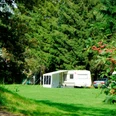 Der Campingplatz befindet sich auf einer Obstwiese umgeben von alten Eichen Der Campingplatz befindet sich auf einer Obstwiese umgeben von alten Eichen