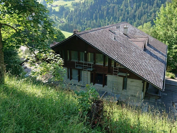 Ferienhaus Edelweiss von hinten Die Rückseite des Ferienhauses von oben gesehen, es ist von grüner Wiese umgeben