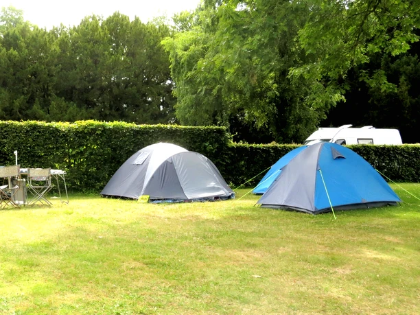 Tent area of the Alte Löweninsel campsite