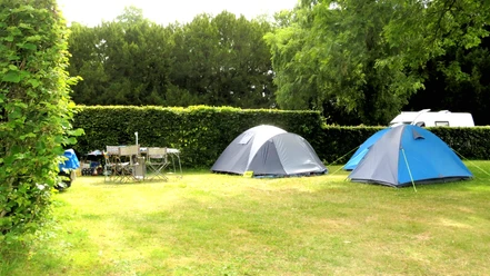 Zeltfläche vom Campingplatz Alte Löweninsel Zeltfläche vom Campingplatz Alte Löweninsel