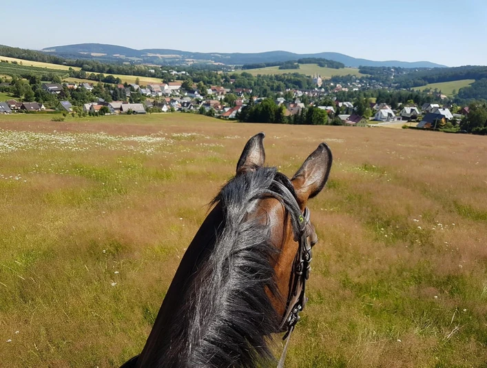 Blick auf Schirgiswalde