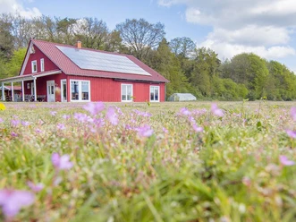 Rotes Ferienhaus mit Solardach am Waldrand, umgeben von blühender Wiese unter blauem Himmel
