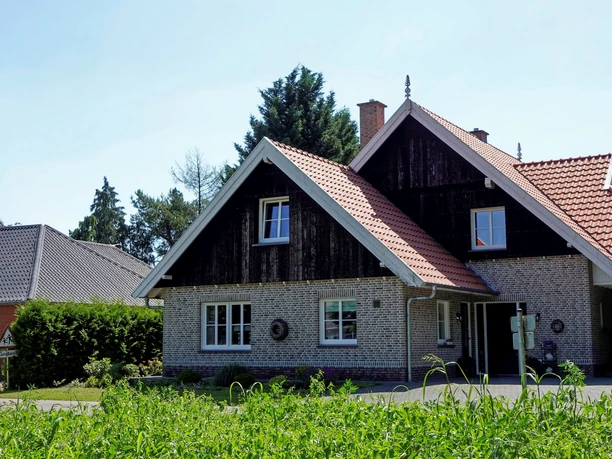 waldsicht