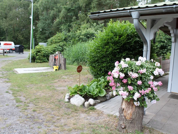 Moorcamp Ein gepflegtes, grünes Gelände mit blühenden Pflanzen in einem Außenbereich, neben einer weißen Hütte.