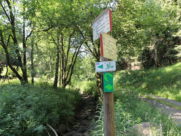 wildkatzenstieg-volksbankarena-wegweiser