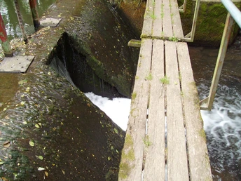 Holzsteg überquert Wasserkanal mit Betonwänden, Moosbewuchs und grünem Geländer seitlich.
