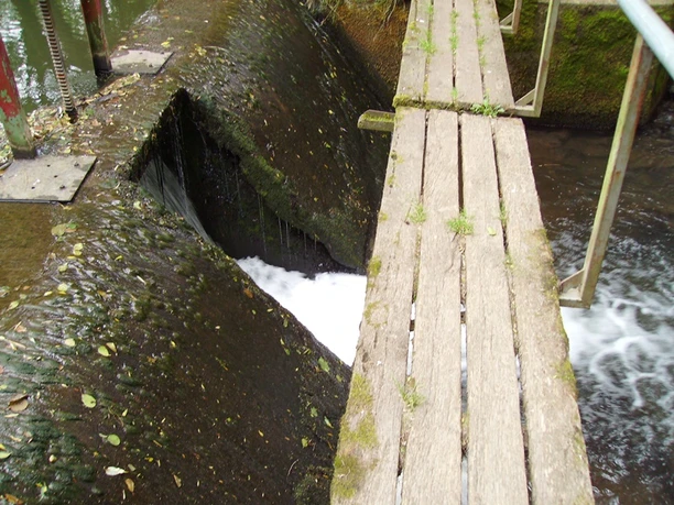 Der Bullersteg Holzsteg überquert Wasserkanal mit Betonwänden, Moosbewuchs und grünem Geländer seitlich.