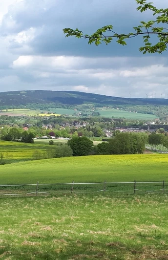 Weite, grüne Wiesen und Felder erstrecken sich vor einem bewaldeten Hügel unter blauem Himmel.
