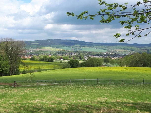 Weite, grüne Wiesen und Felder erstrecken sich vor einem bewaldeten Hügel unter blauem Himmel.