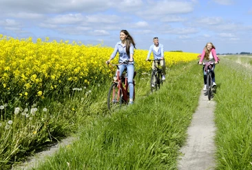 radtour-meldorfer-kulturlandschaft-meldorf-dithmarschen-tourismus