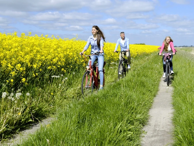 radtour-meldorfer-kulturlandschaft-meldorf-dithmarschen-tourismus