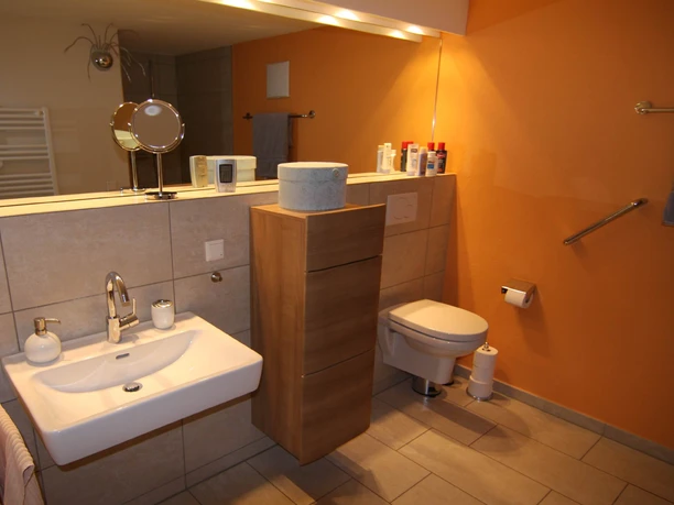 fewo-adelshof-badezimmer Badezimmer mit Toilette, Waschbecken und großem Spiegel