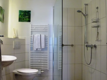 ebenerdige Dusche mit fester Duschabtrennung und daneben WC