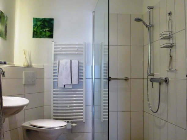 ebenerdige Dusche mit fester Duschabtrennung und daneben WC