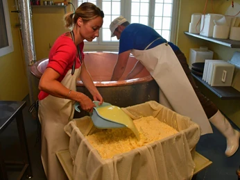 alpkaesereibesichtigung-aeschiallmi-kaeseform