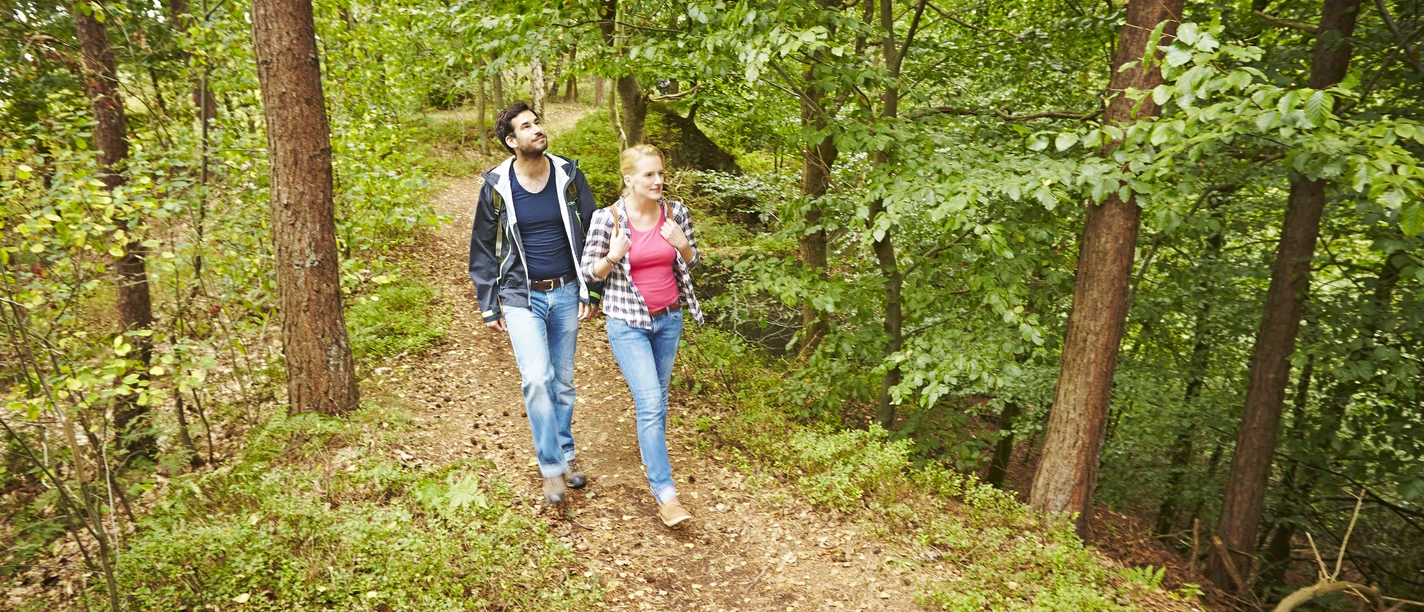 wandern-3-bentheimer-berge_touristinformation-bad-bentheim