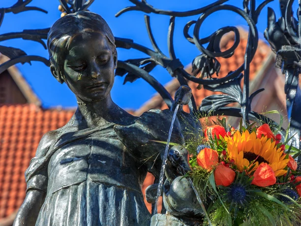 goettingen_gaenseliesel_detail