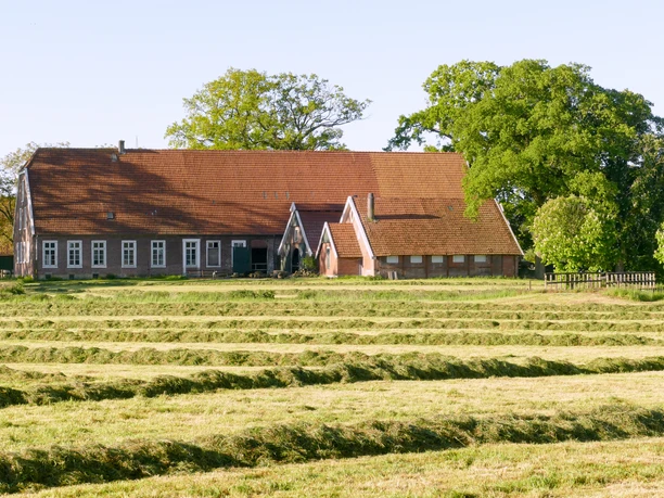 Ehemaliger Schultenhof
